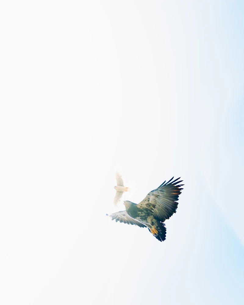 Atardecer en Parque Patagonia