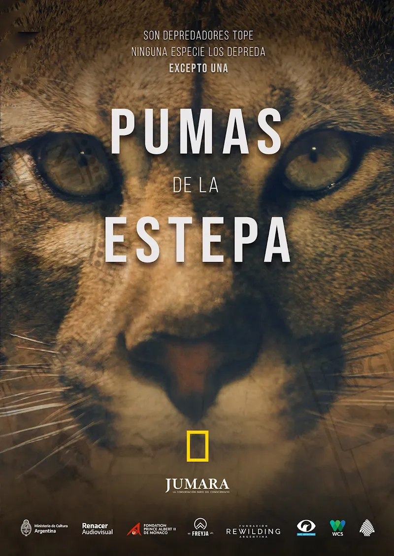 Video — Rodaje de «Pumas de la Estepa» en Parque Patagonia